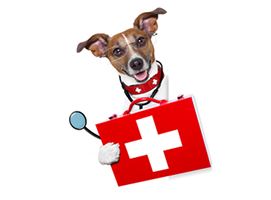 Hospitalizacion de Animales 24 horas Madrid