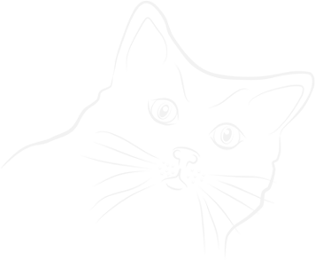 Servicios Veterinarios Madrid