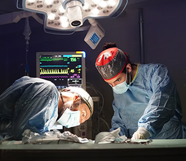 Veterinario con cirugia de tejidos blandos