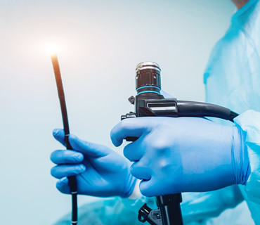 Endoscopia para animales