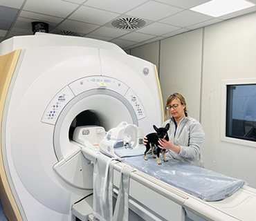 Residencia para animales