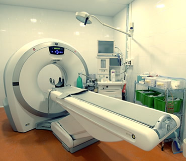 Tac y resonancia magnetica para animales