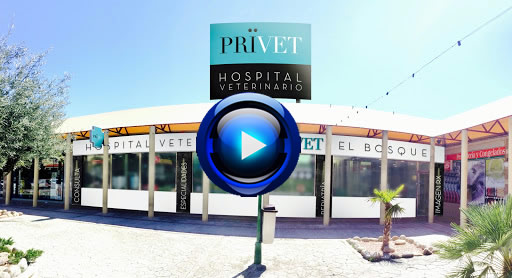 hospital privet villaviciosa