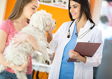 Servicio Veterinario Madrid 24 h