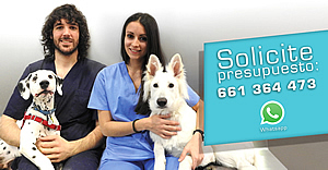 Oferta Esterilizacion de perros