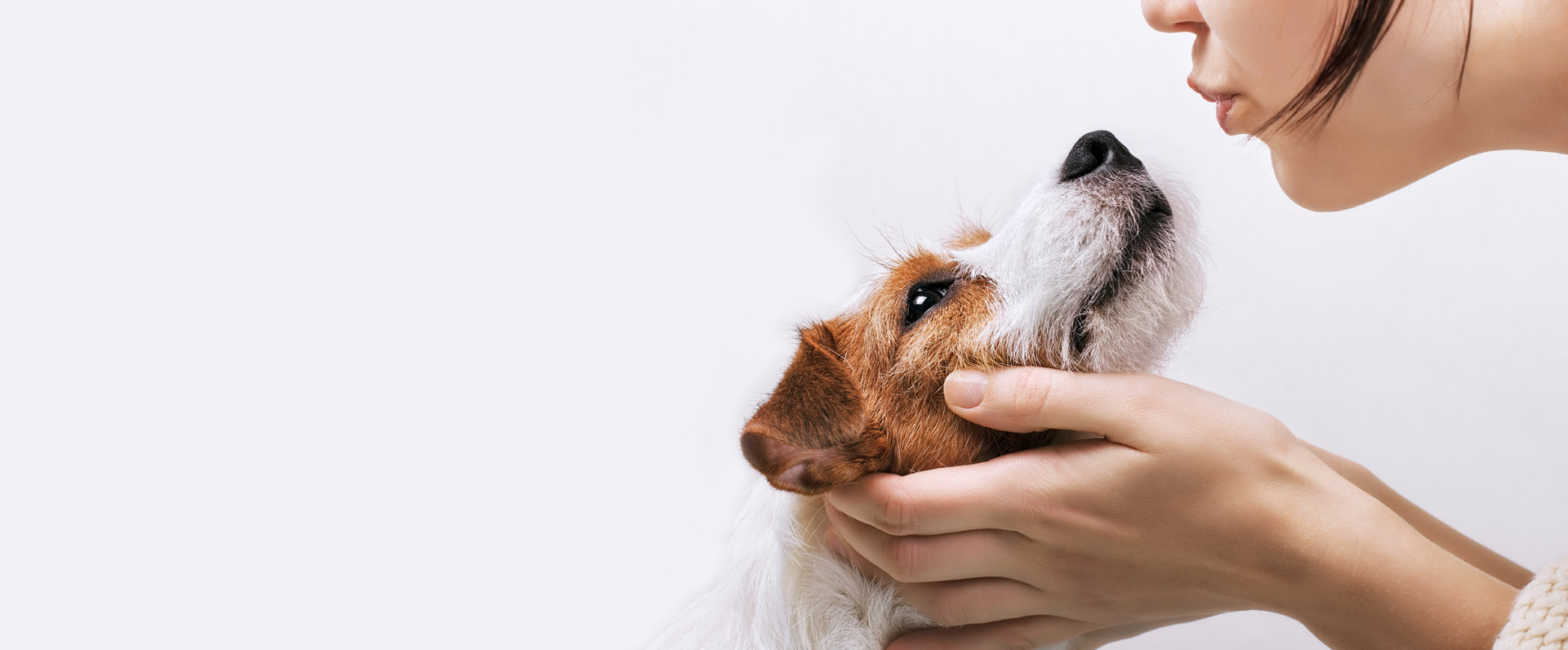 Clinica Veterinaria Madrid 24 Horas