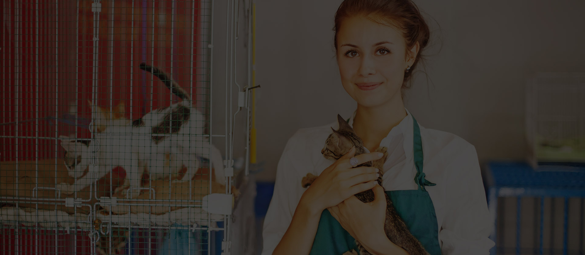 Urgencias Veterinarias Madrid 24 horas