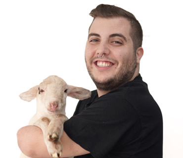 Alejandro Suárez Call Center y ATV