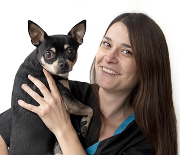 Expertos Veterinarios en Madrid