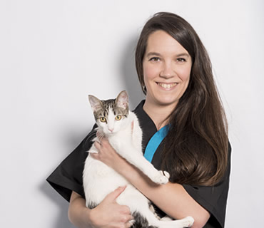 Veterinaria Especialista en dermatologia Ana Luisa Sanchez-Manzanero