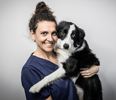 Veterinaria Especialista en neurología Beatriz Palomar