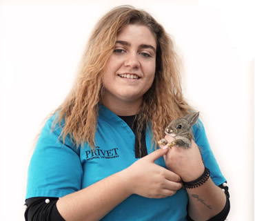 Call Center y ATV Carmen Callejas