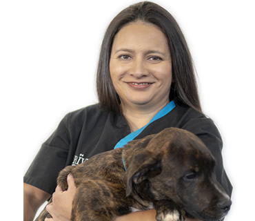 Veterinaria Especialista en Oftalmología Claudia Sierra