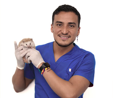 ATV Aluche Daniel Camargo