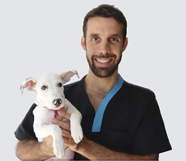 Veterinario especialista en ecografía, cardiología y cirugía Emilio Crespo