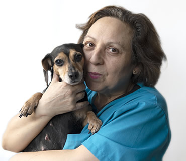 Auxiliar de mantenimiento Veterinario Encarnación San Macario