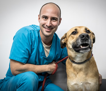 Auxiliar Veterinario Enrique Ponce