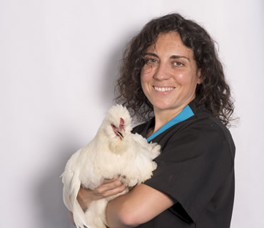 Veterinaria acupuntura y terapias alternativas Esperanza Alvarez