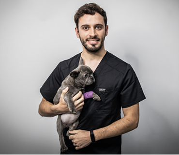 Veterinario y anestesista Gabriel Guarnieri