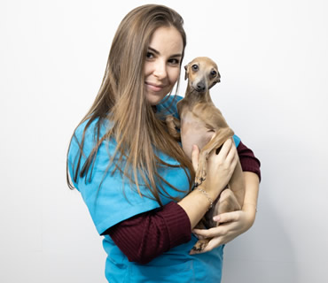 Veterinario y anestesista Gema García