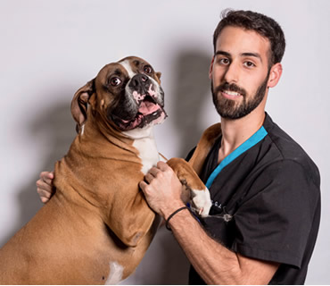 Veterinario Animales exóticos Guillermo Gamella