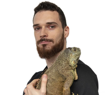 Veterinario de urgencias Jesus Mauricio