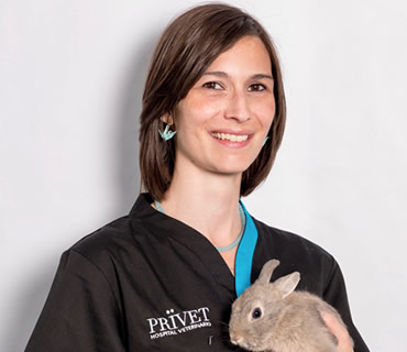 Veterinaria especialista en diagnostico por imagen Laura Diez