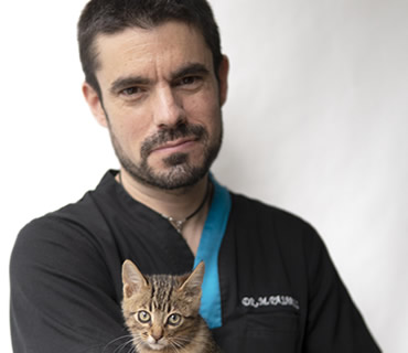Expertos Veterinarios en Madrid