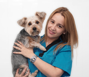 Equipo de Gestión Marta Pachecho