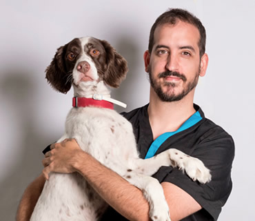 Veterinario diagnostico por imagen Miguel Angel Marugan
