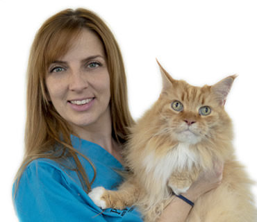 Auxiliar veterinaria en recepcion Noelia Huertas