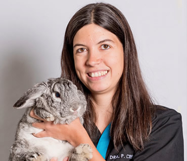 Vetenaria animales exóticos Paloma Crespo