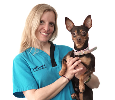 Call Center y ATV Patricia Álvarez