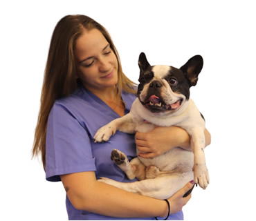 Veterinaria de Urgencias Patricia Neira