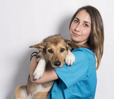 Auxiliar y peluquera canina Virginia Robles